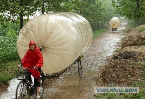 Украина, на сколько реально все запущено...