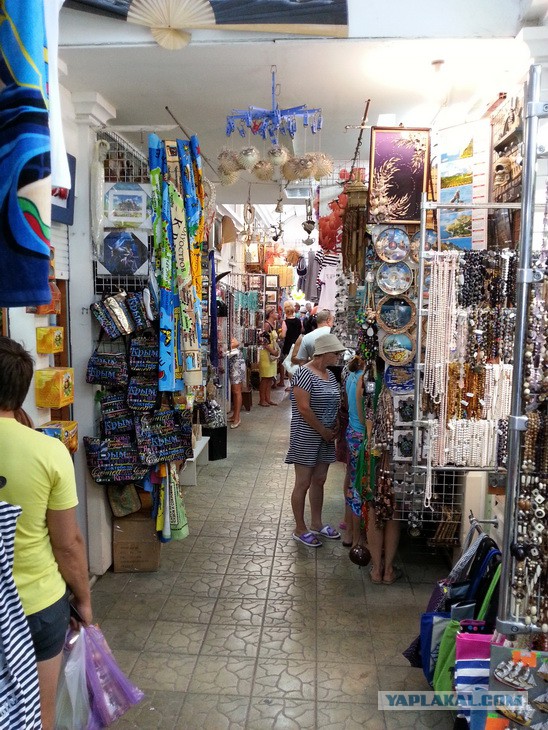 Дорога из Киева и из Москвы в Ялту.