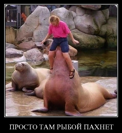 Такие дела