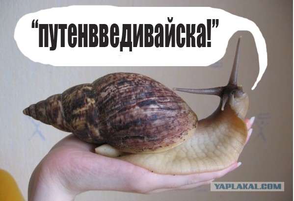 Молчание грантоедов