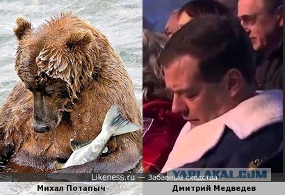 Пожабим Димона