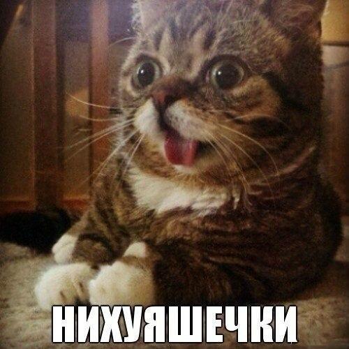 Забавные картинки из Сети