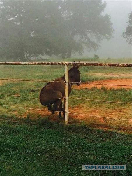 Абсурдный юмор ч.7