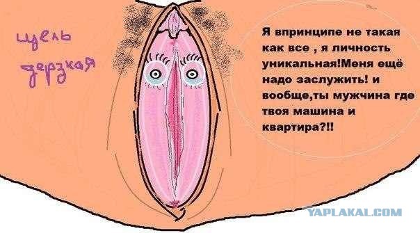 Мачо для Мохначо