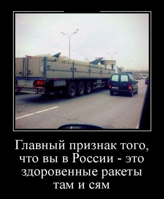 Порция картинок из сети