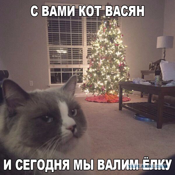 Фото всякое разное