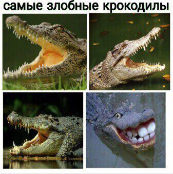 Правдивые факты, о которых мы не знали