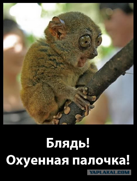 Старые добрые демотиваторы