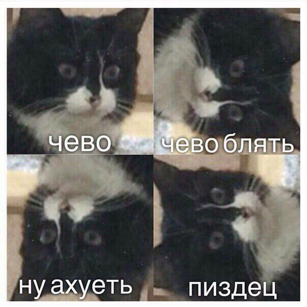 Таксист Убера бомбит