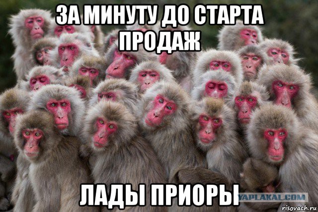 Несколько нетолерантных картинок