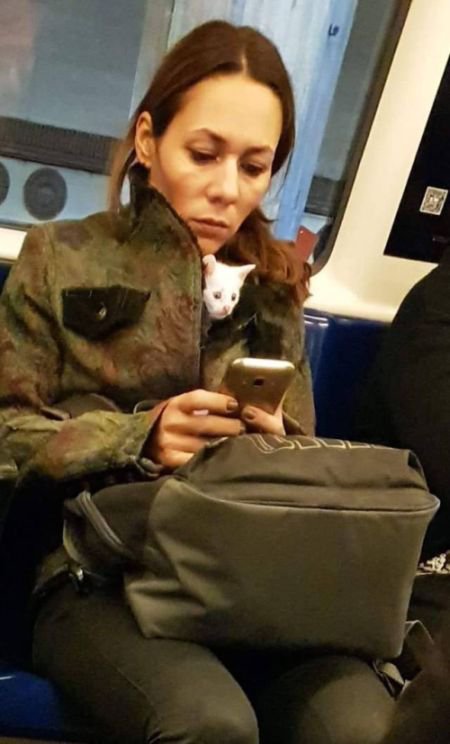 Ерундушки на четверг.