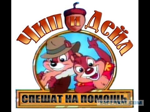 Игра "найди кота"