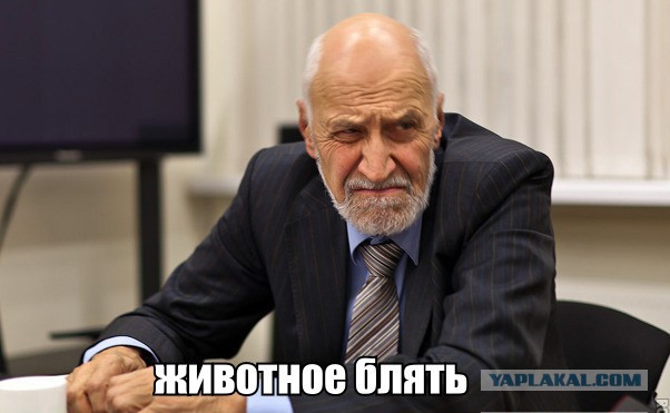Тупой и еще тупее, а может блатнее? Оценим уровень парковки