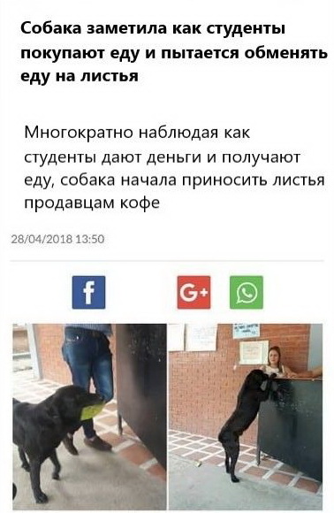 Нестандартный юмор