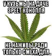 Во её таращит...