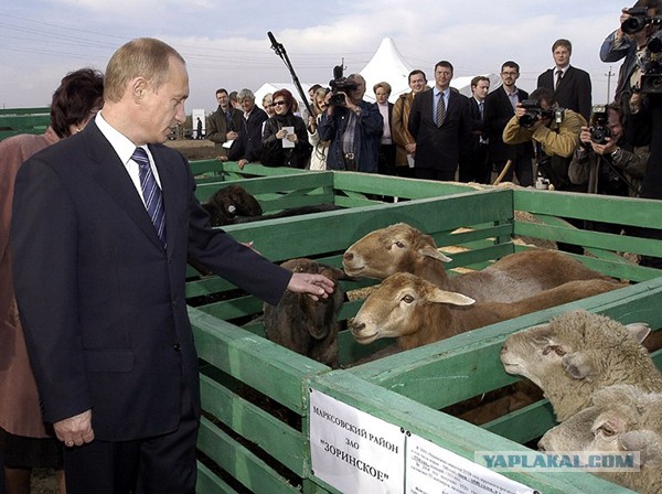 Царь едет!
