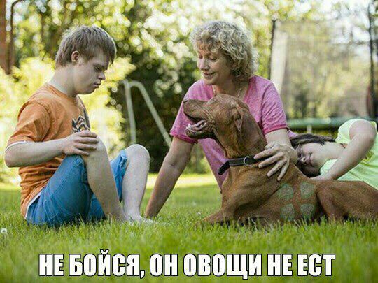 Праздничные и не очень светлые картинки