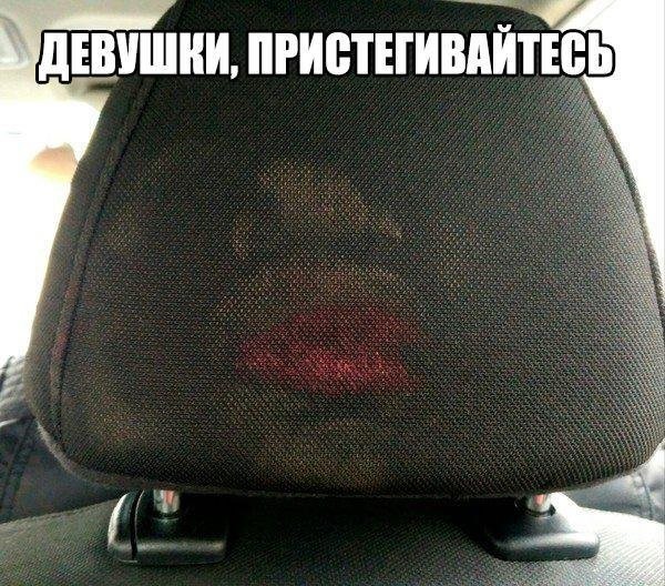 Лента прикольных картинок