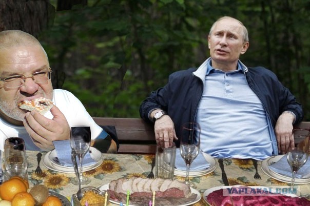 Дров не дали. Как жить бедному крестьянину?