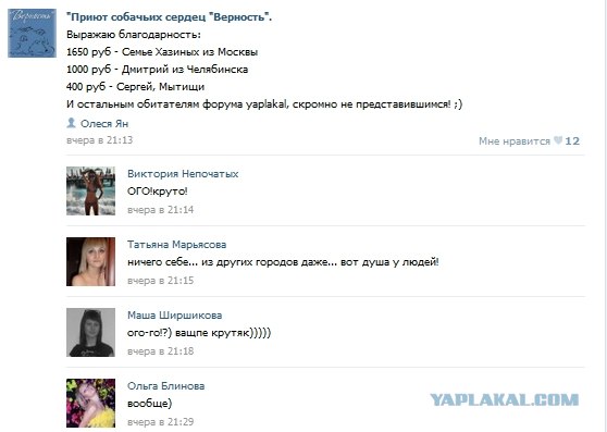 Приют собачьих сердец "Верность"
