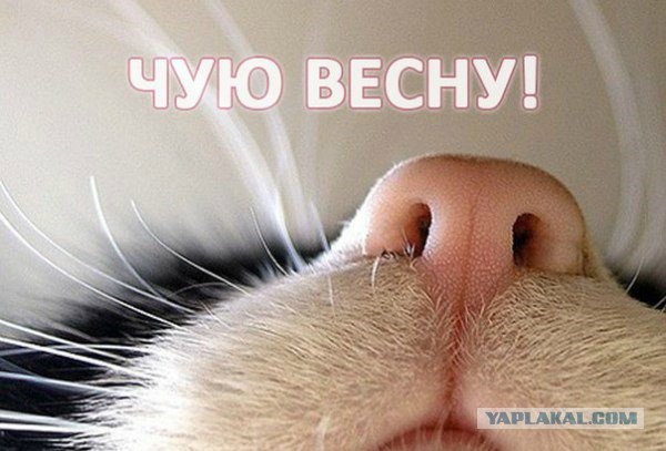 Подборка интересных и веселых картинок 01.03.19