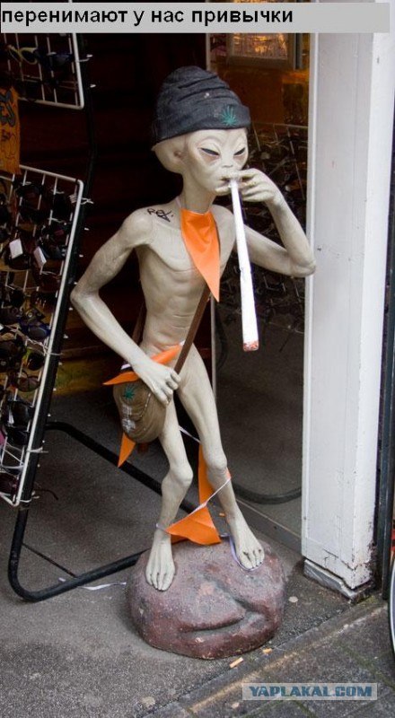 Мы уже прилетели (12 фото)