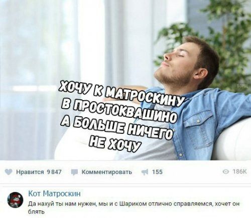 Чуток картинок! 11.08.19