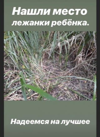 Трёхлетний Коля пропал в лесу, Омская область.