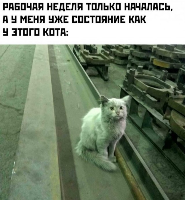 «Картинки разные нужны, картинки разные важны» 03.09.19