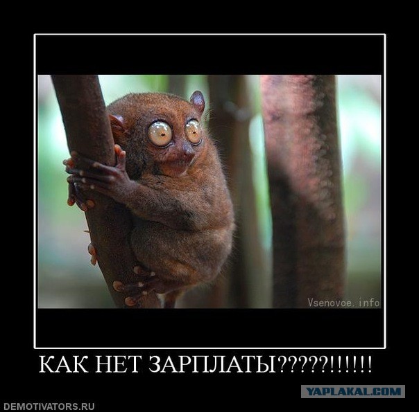 Древние мемы с ВК. Для тех кто забыл