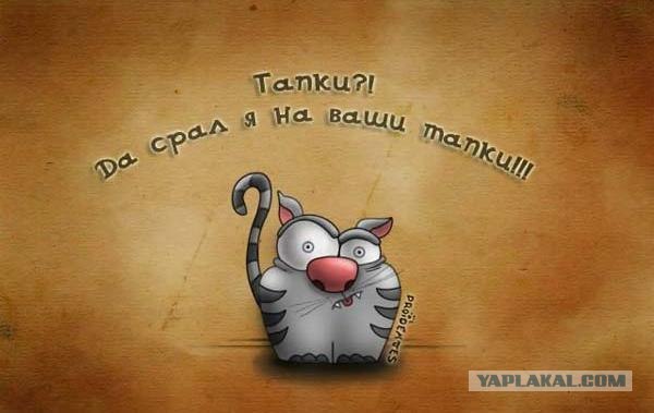 Прикольные картинки!