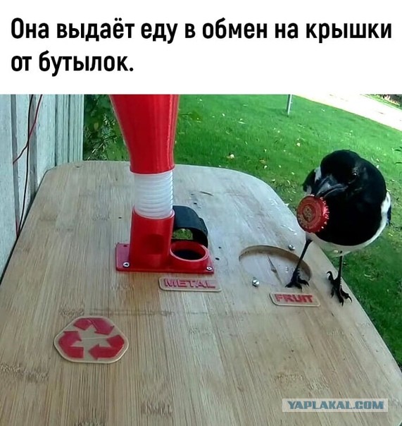 Немного картинок для настроения 30.10.20