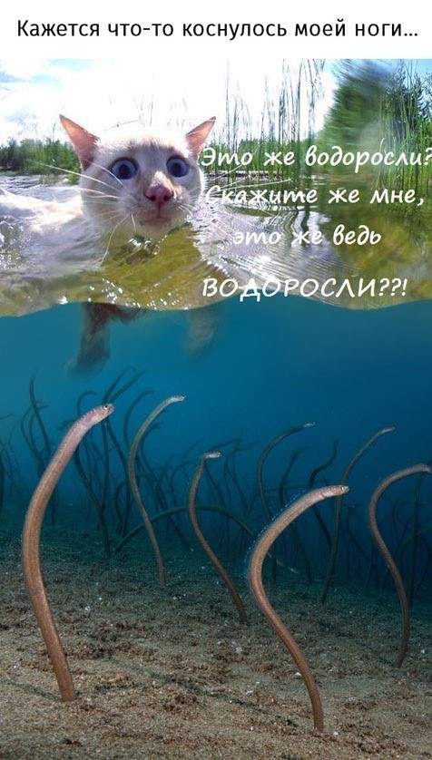 Друзья помогут