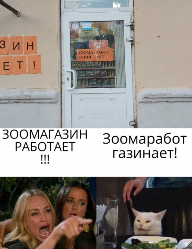 Кота не переубедить