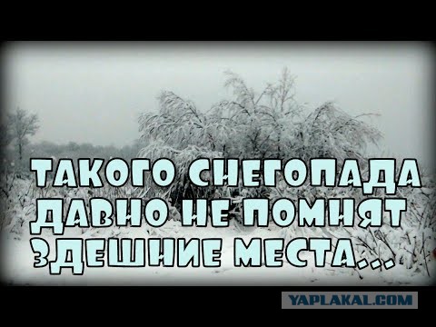 Признания мужчин, простивших жёнам измену (случаи из практики)
