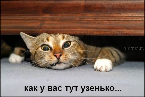 За что я не люблю ноутбуки