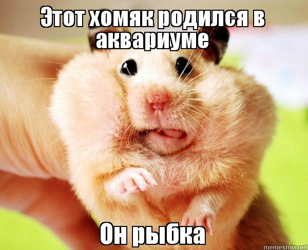 Первое золото у Украины
