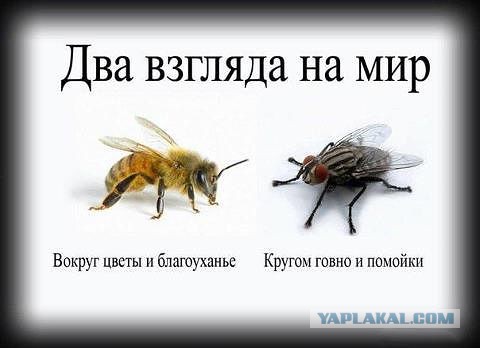 Мореманские новости. Морфлот, Речфлот. Новости за неделю