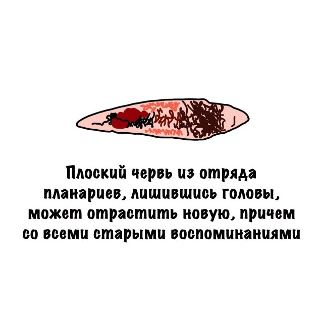 Картинки на субботу