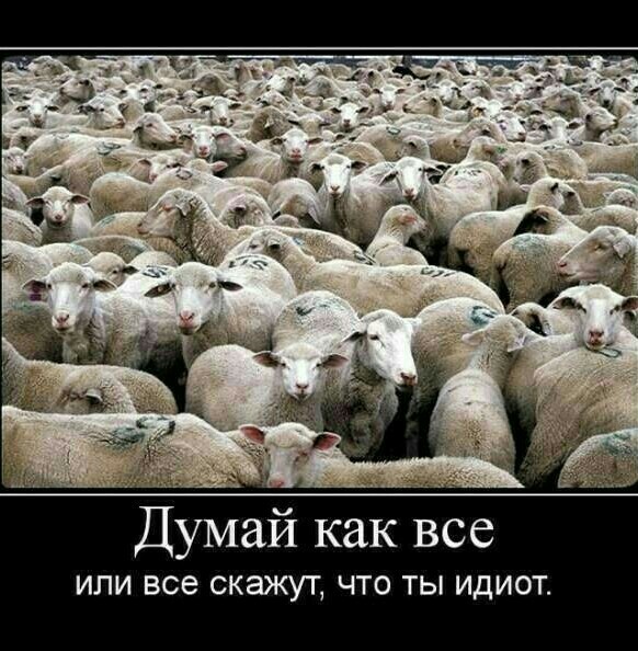 Метод "Гнилой Селёдки"
