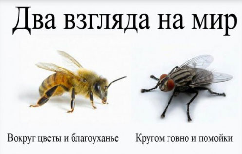Что мне нравится в России