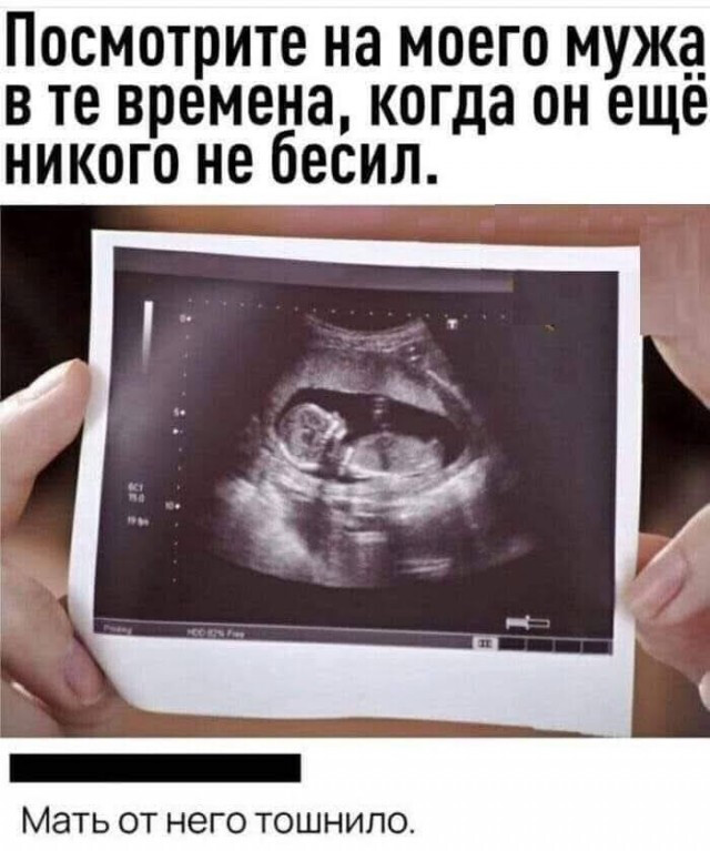Фотки и картинки с текстом: юморные и красивые, забавные и милые 17.1121