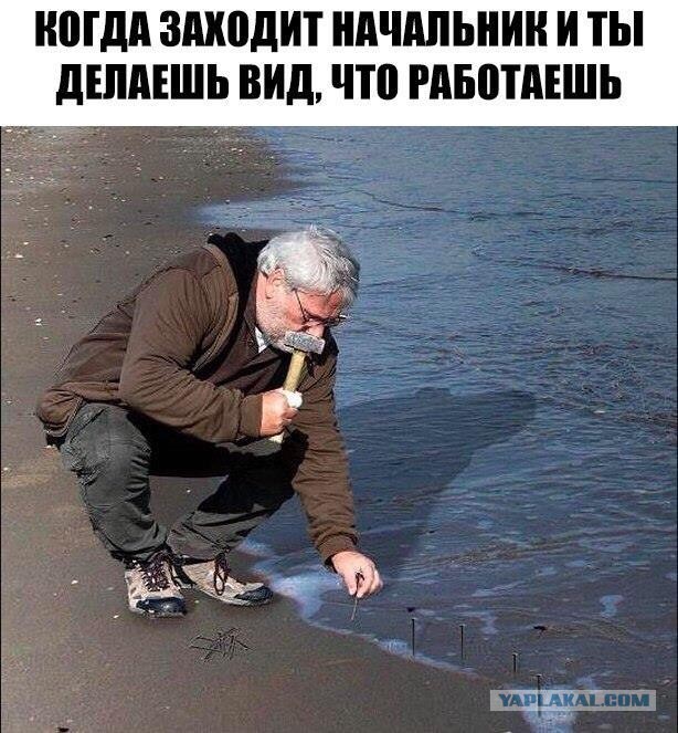 Четверг, а значит пора начинать деградировать...
