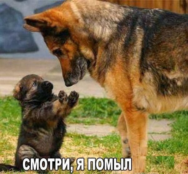 Да, было время...