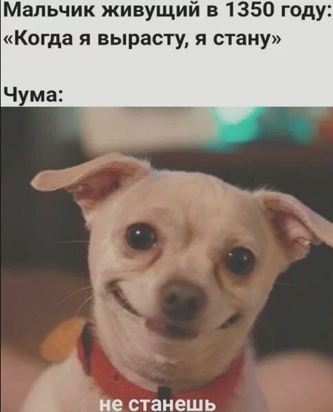 Субботняя чернуха!