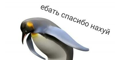 Путин заявил об очередной череде испытаний для России