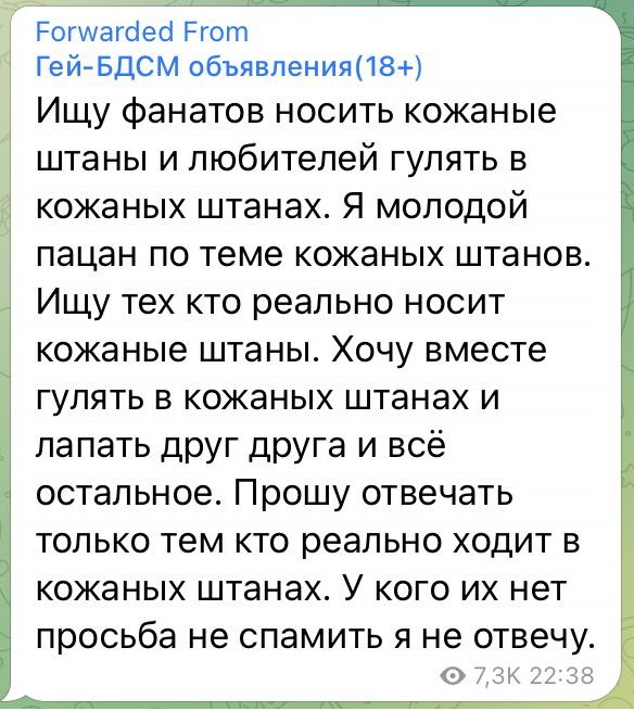 Весёлый полтишок 08.09.22
