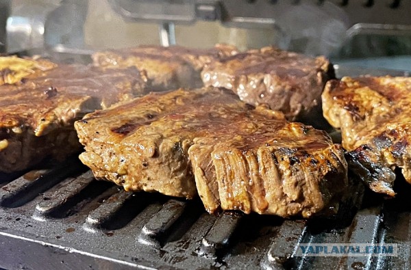 Электрогриль. Мясо. Купаты, и … вообще.  Предлагаю устроить обмен опытом и технологиями.