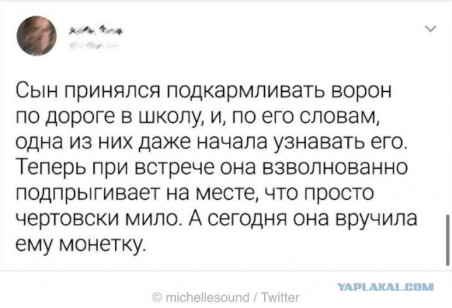 Картинки и мемы. Выходные близко...
