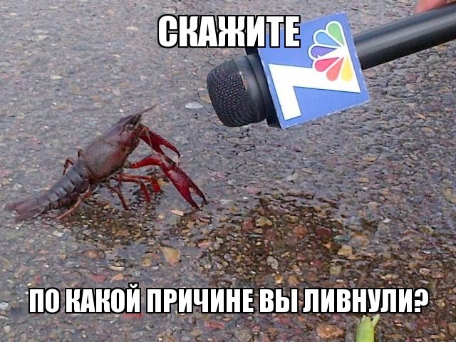 Wargaming 2